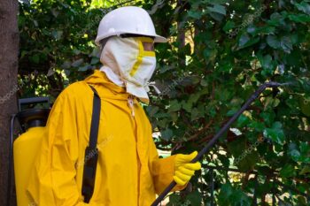 Dératisation à Soissons